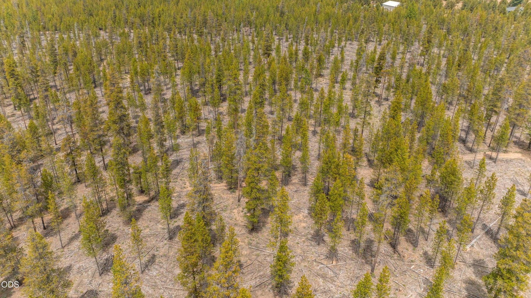 Photo of 52495 Old Stage Road 4 of 20