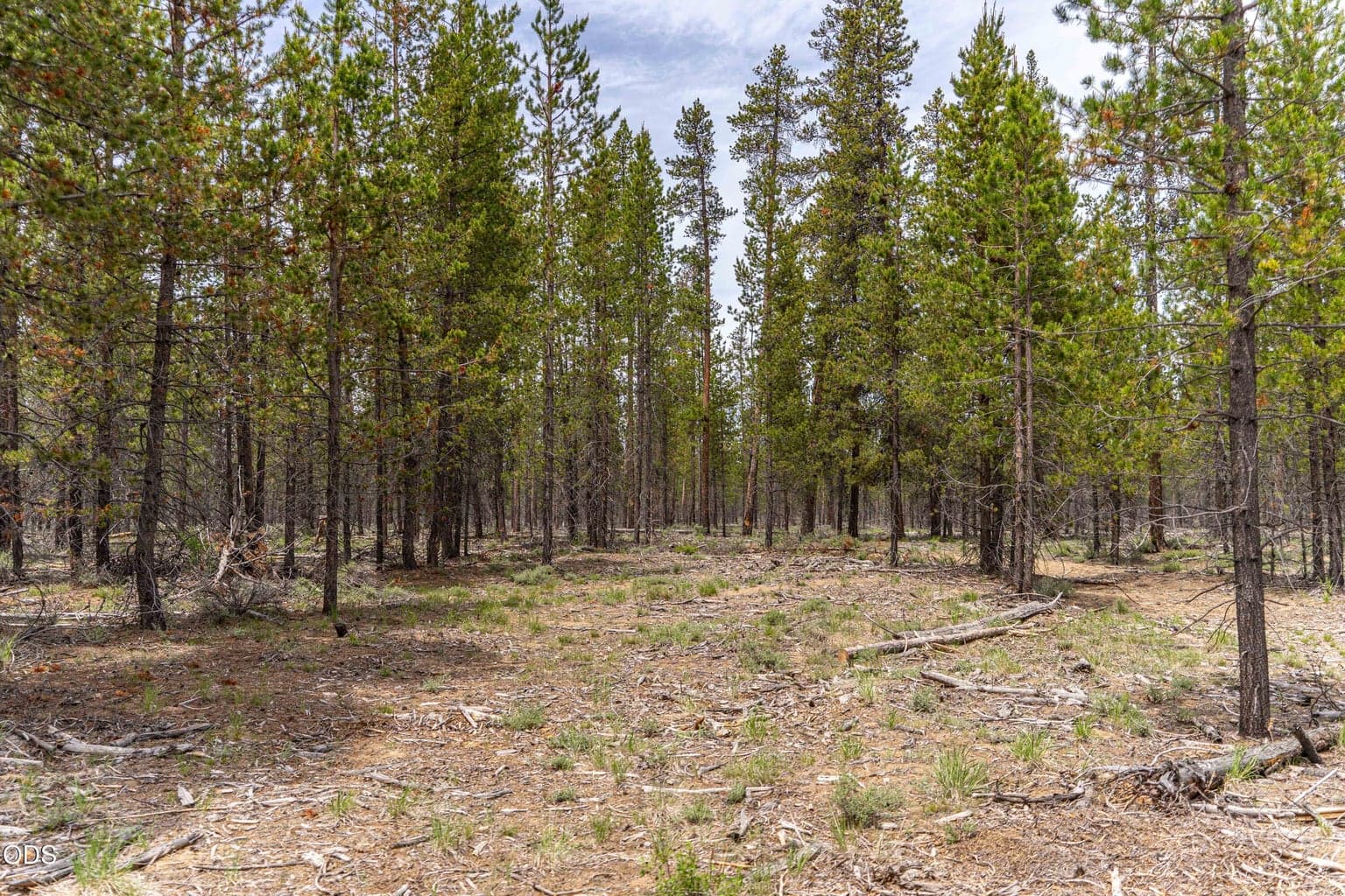 Photo of 52495 Old Stage Road 5 of 20