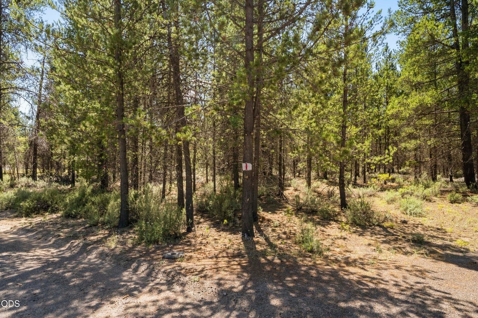 Photo of 52667 Wayside Loop 2 of 10
