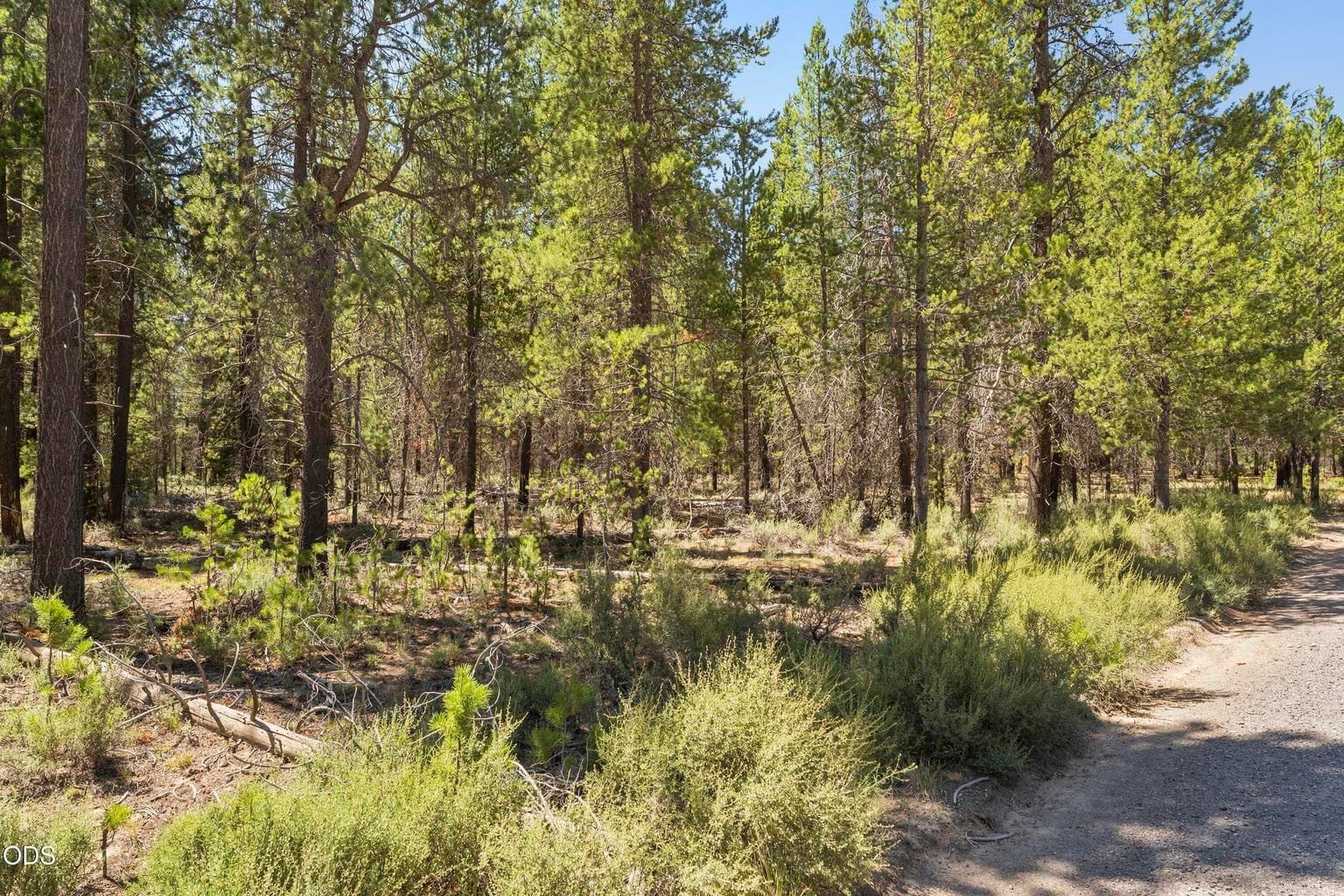 Photo of 52667 Wayside Loop 3 of 10