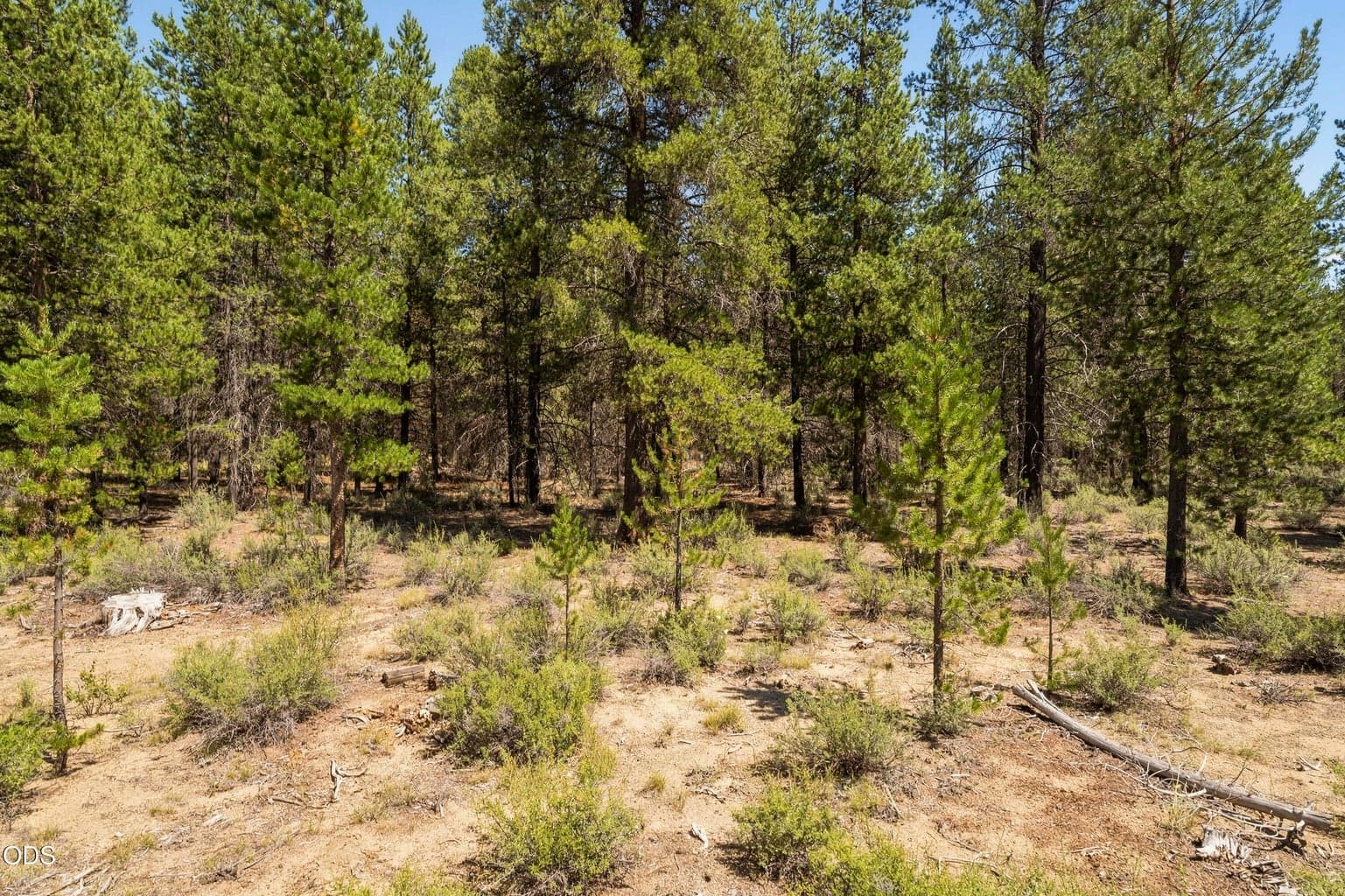 Photo of 52667 Wayside Loop 5 of 10