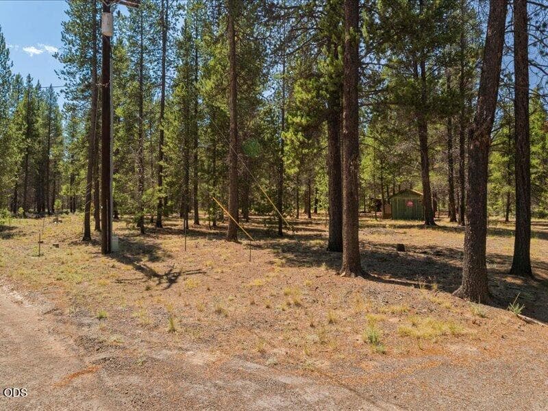 Photo of 52677 Wayside Loop 4 of 14