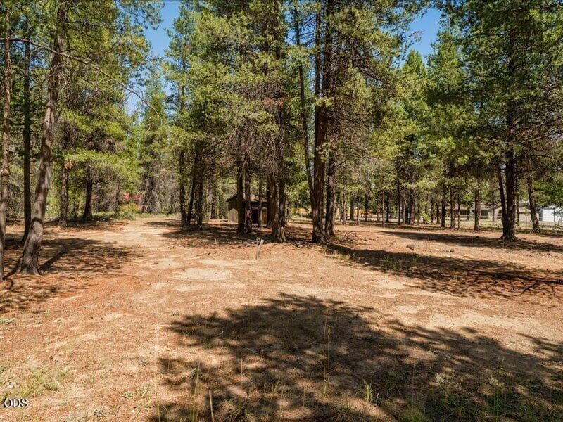 Photo of 52677 Wayside Loop 1 of 14