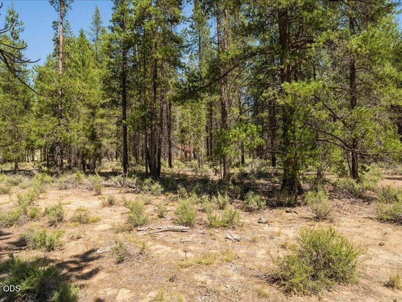 Photo of 52687 Wayside Loop 1 of 10