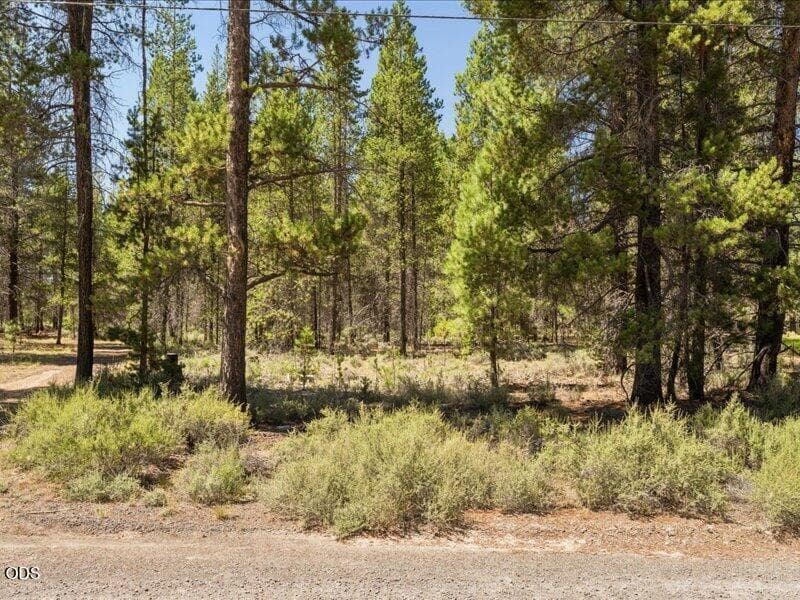 Photo of 52687 Wayside Loop 2 of 10