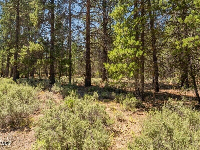 Photo of 52687 Wayside Loop 4 of 10