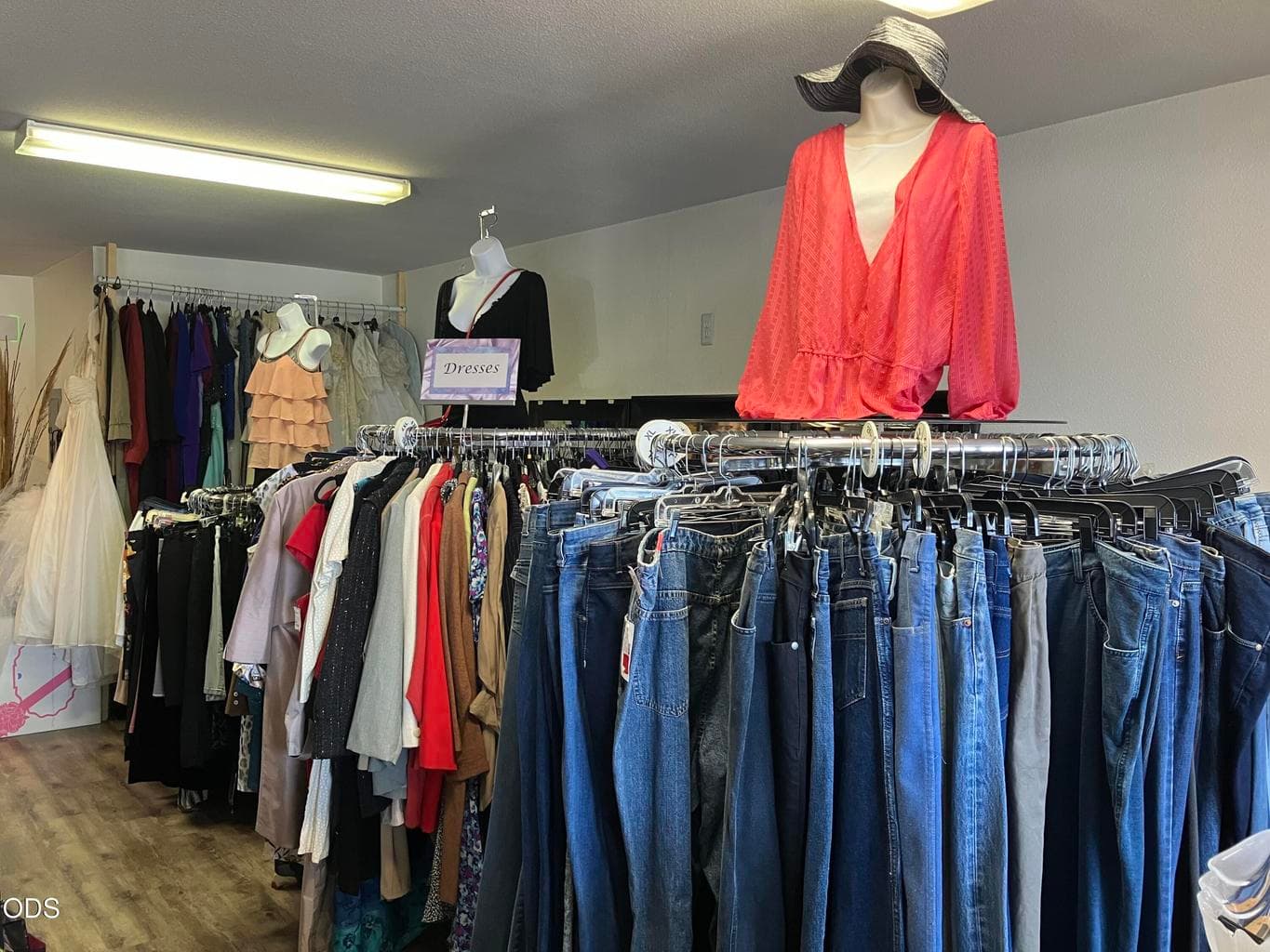 JEANS, DRESSES & BLOUSES