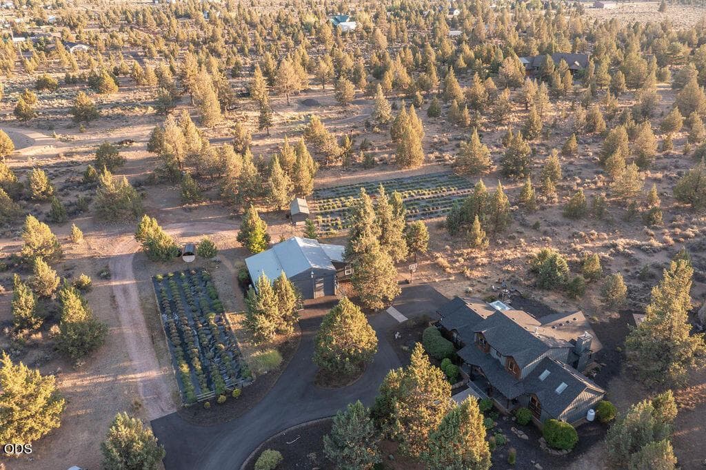Photo of 18025 Cascade Estates Drive 1 of 56