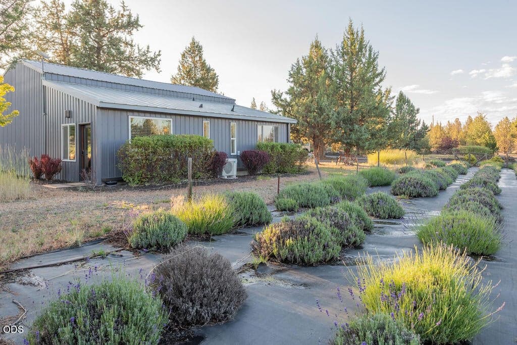 Photo of 18025 Cascade Estates Drive 51 of 56