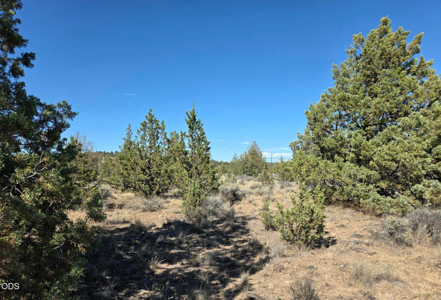 Photo of Cayuse Road 1 of 5