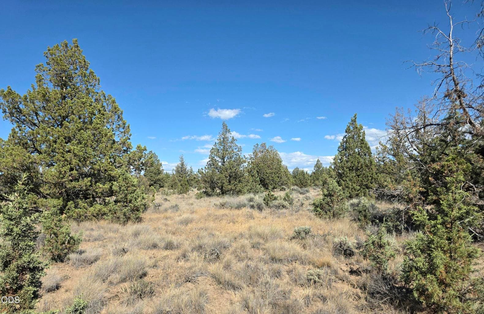 Photo of Cayuse Road 2 of 5