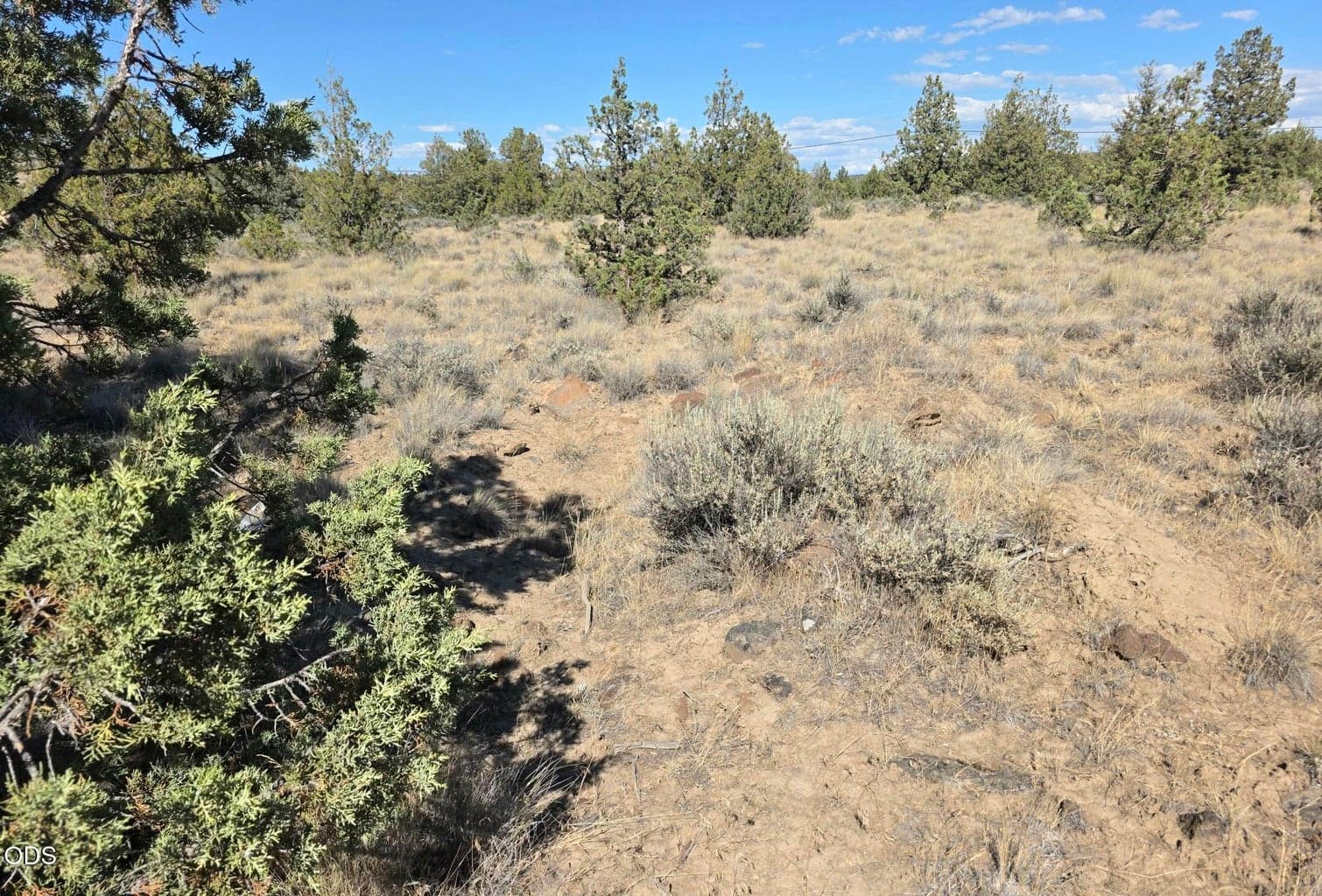 Photo of Cayuse Road 3 of 5