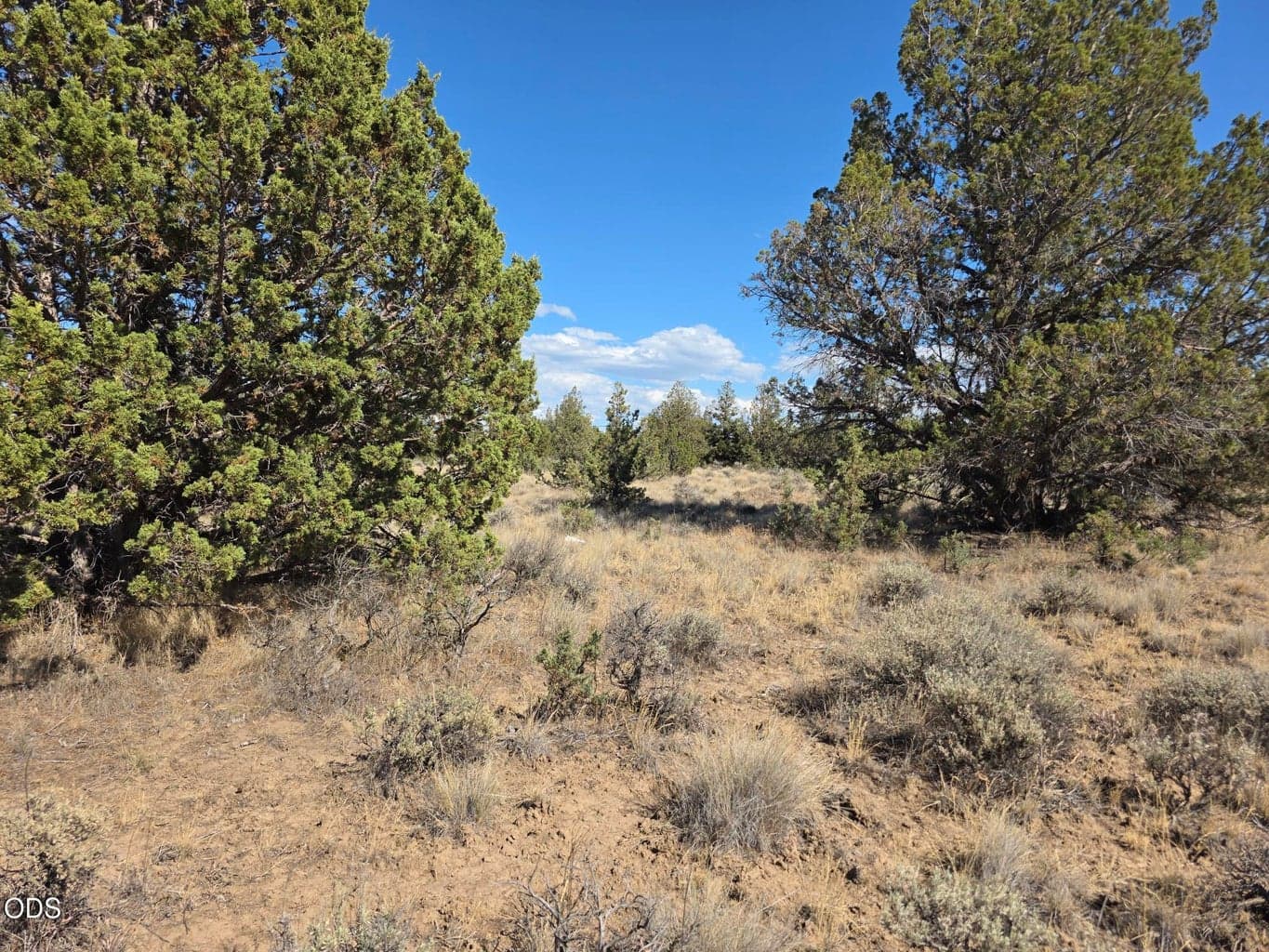 Photo of Cayuse Road 4 of 5