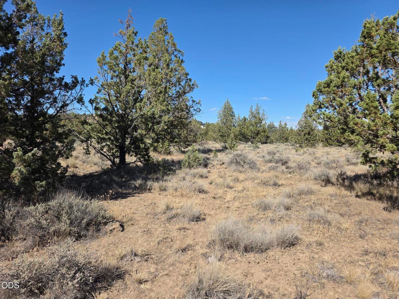 Photo of Cayuse Road 1 of 8