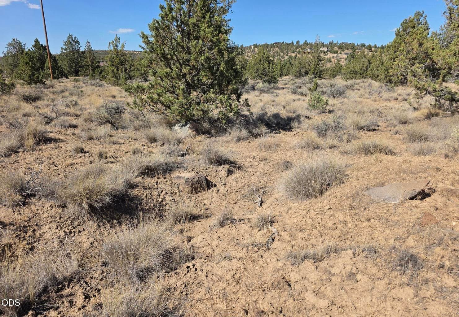 Photo of Cayuse Road 2 of 8