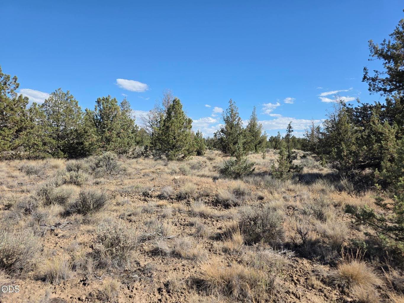 Photo of Cayuse Road 3 of 8