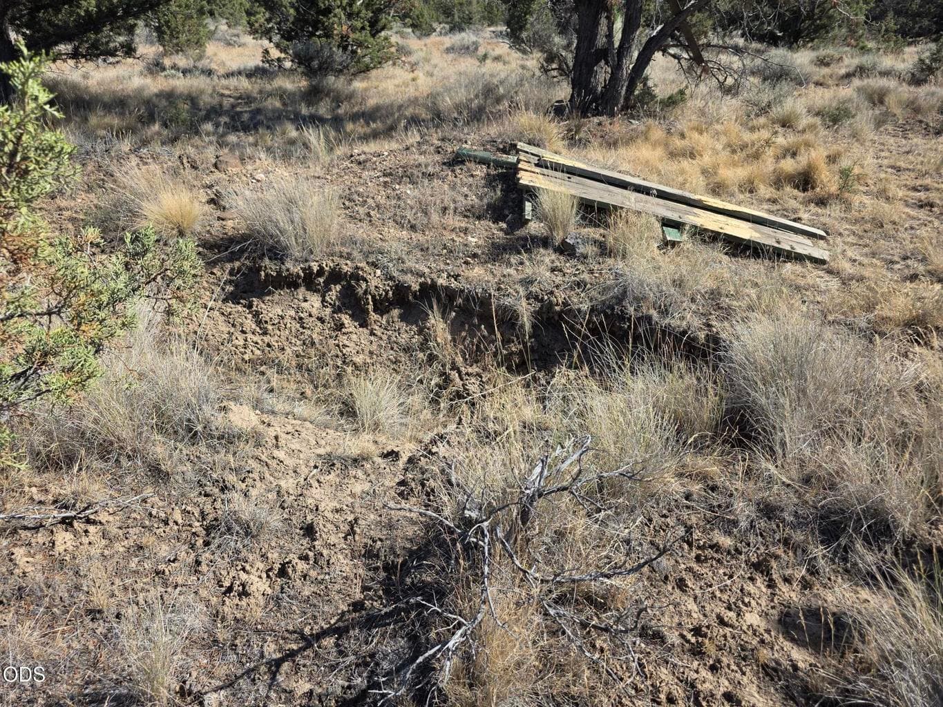Photo of Cayuse Road 4 of 8