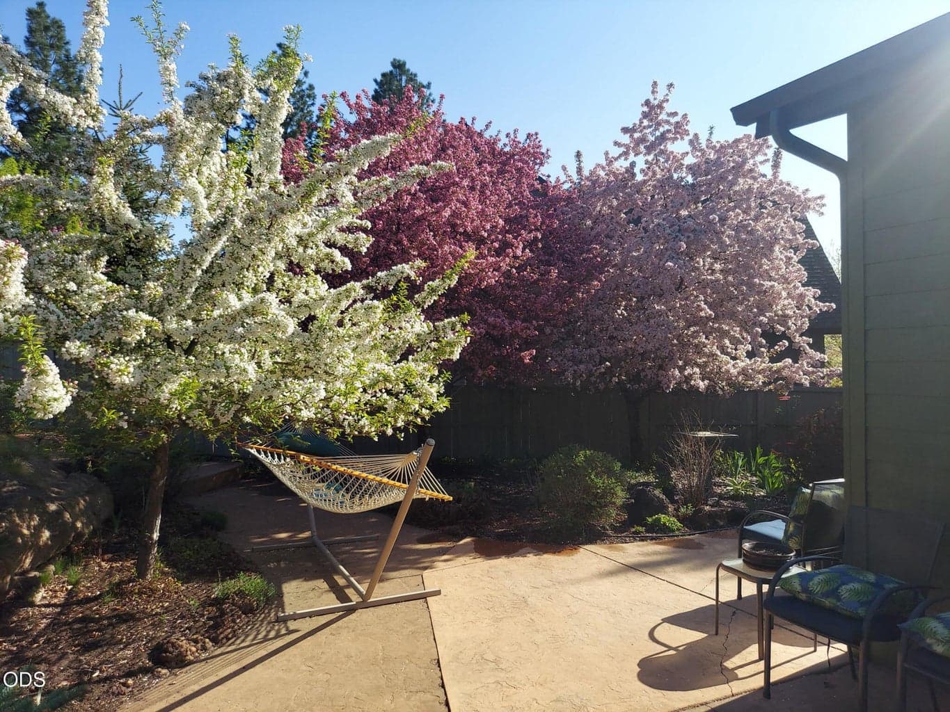 Photo of 60875 Goldenwood Loop 62 of 84