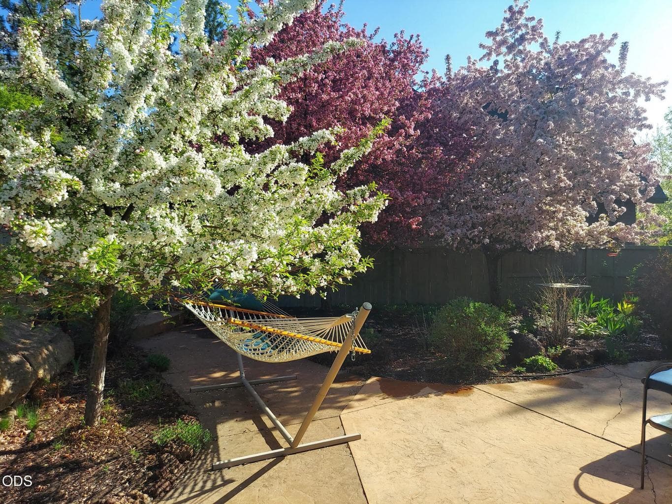 Photo of 60875 Goldenwood Loop 68 of 84