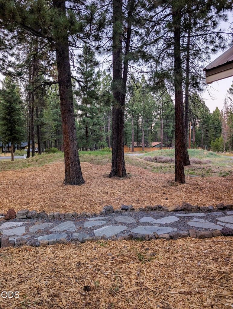 Natural front yard setting with mature trees, open space, and a peaceful Central Oregon feel.