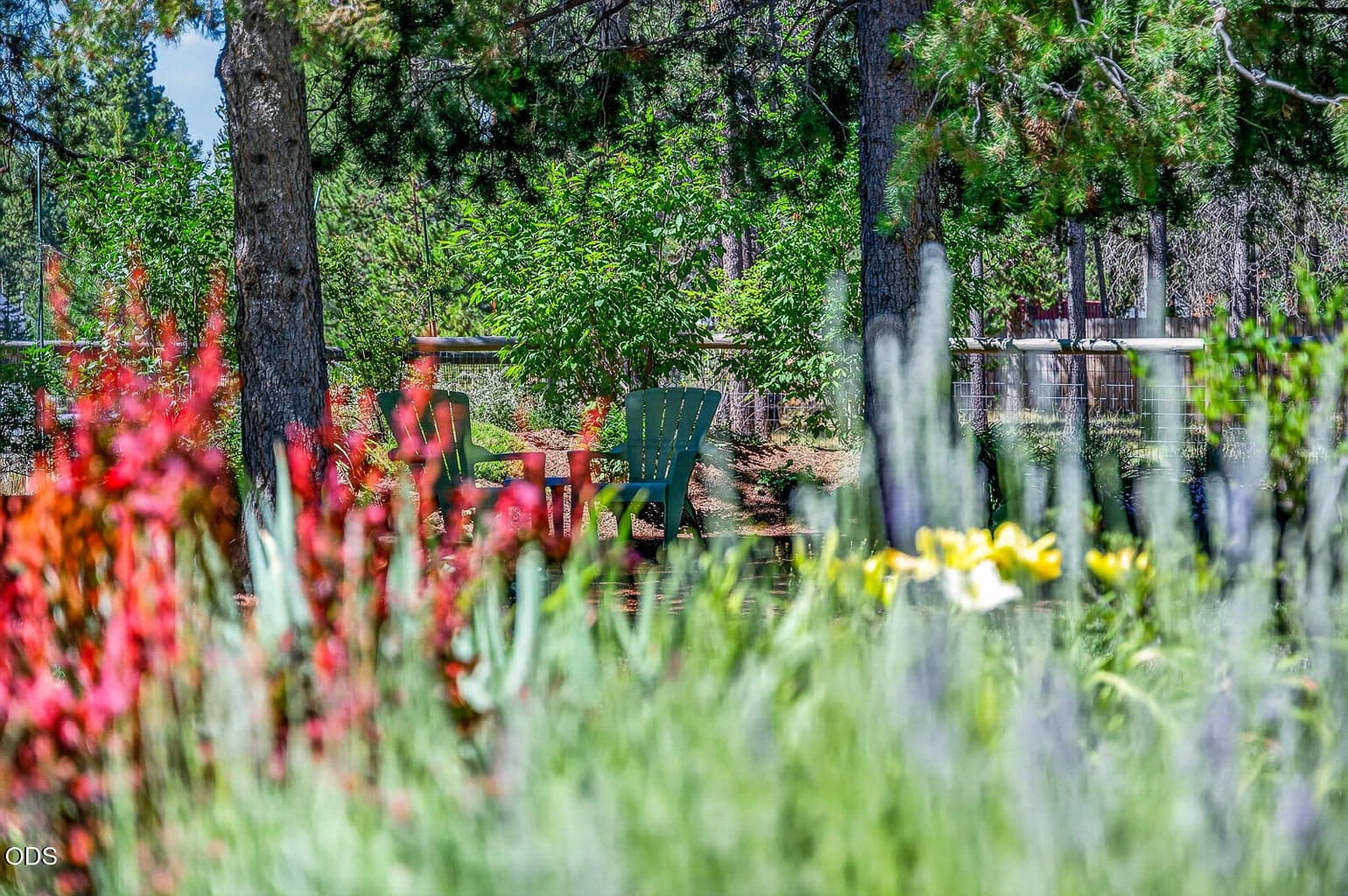 Garden specifically designed to have color blooming throughout the season