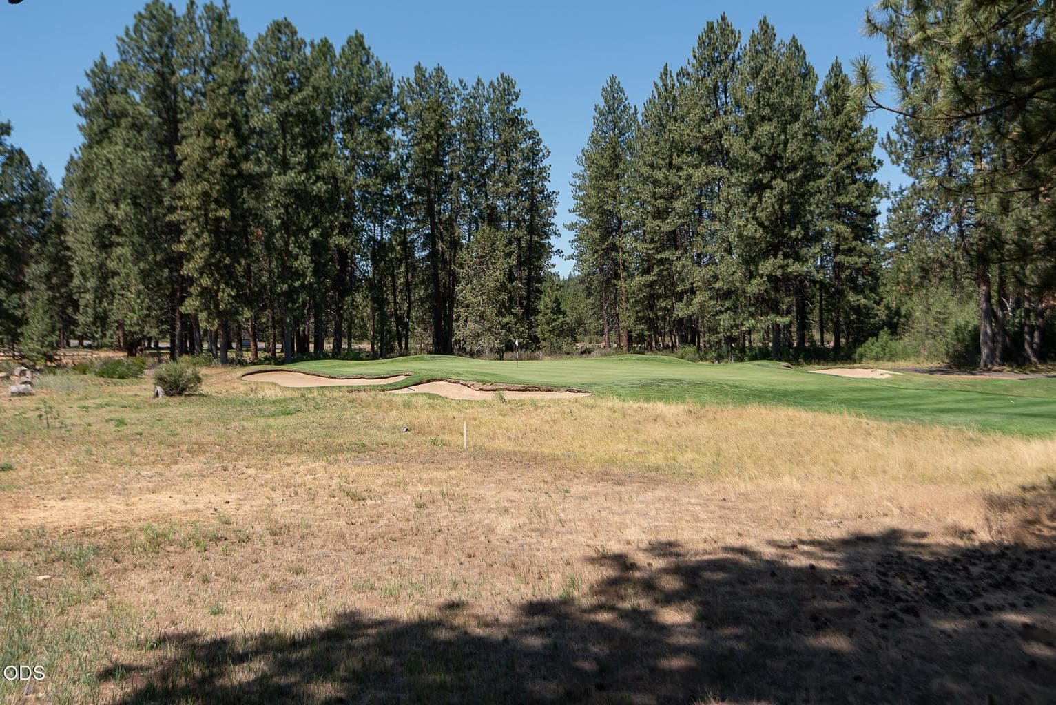 Photo of 60484 Kangaroo Loop 36 of 41