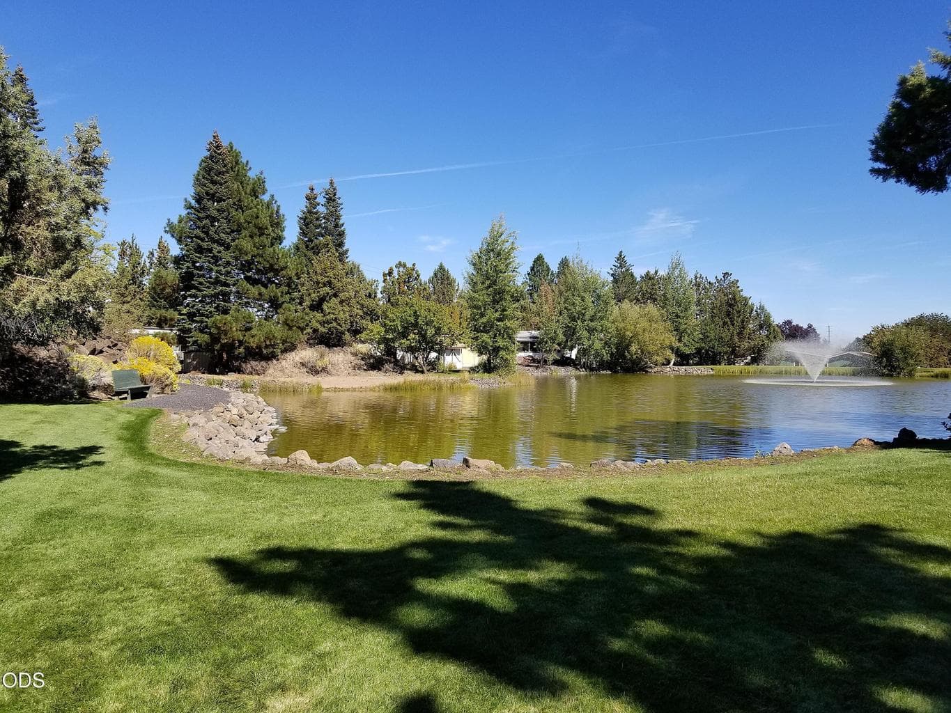 Pond with water feature