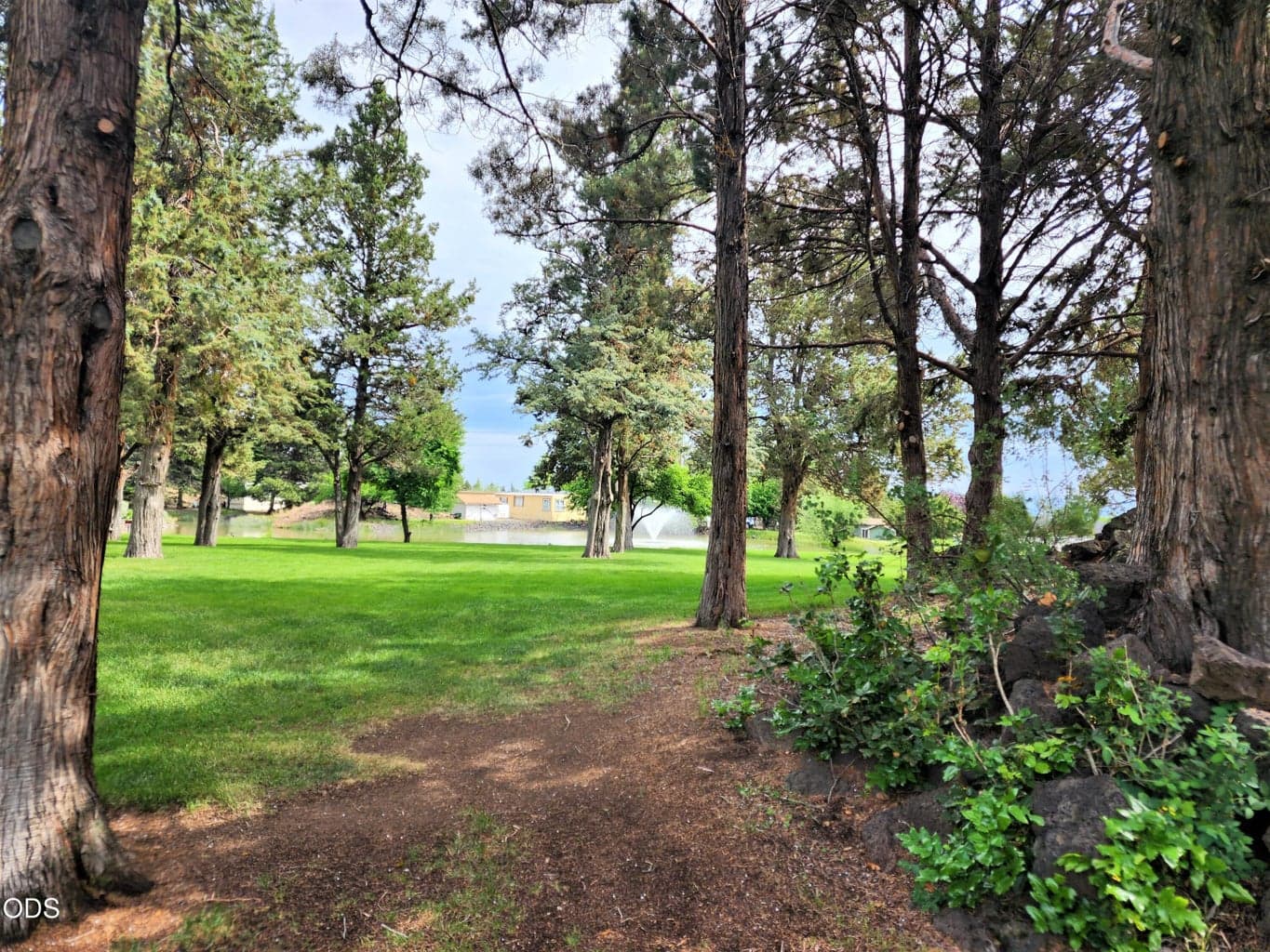 Green area to enjoy nature