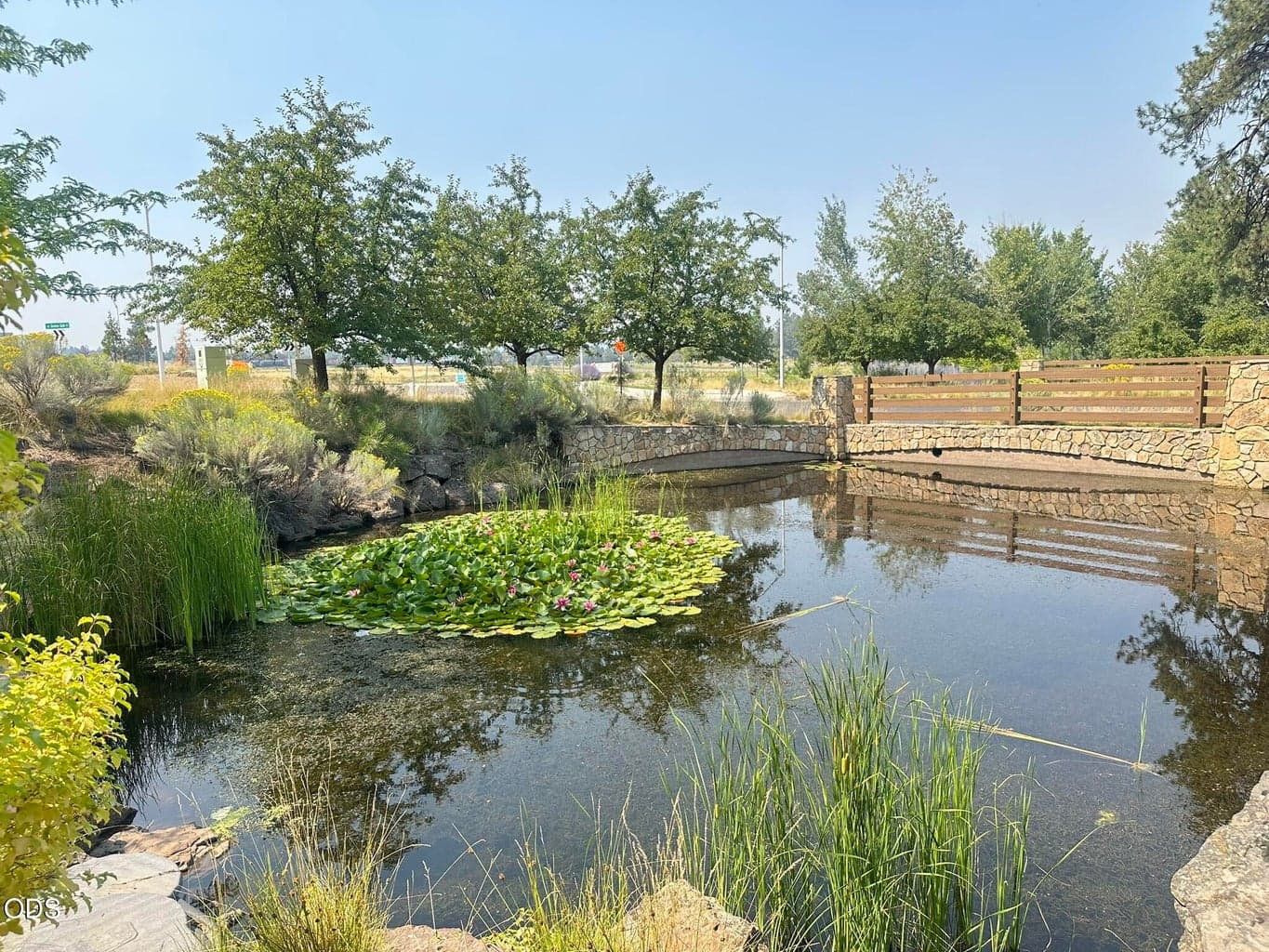 Water-scaping with lovely walk-ways, bridges, and lilypads. Enchanting.