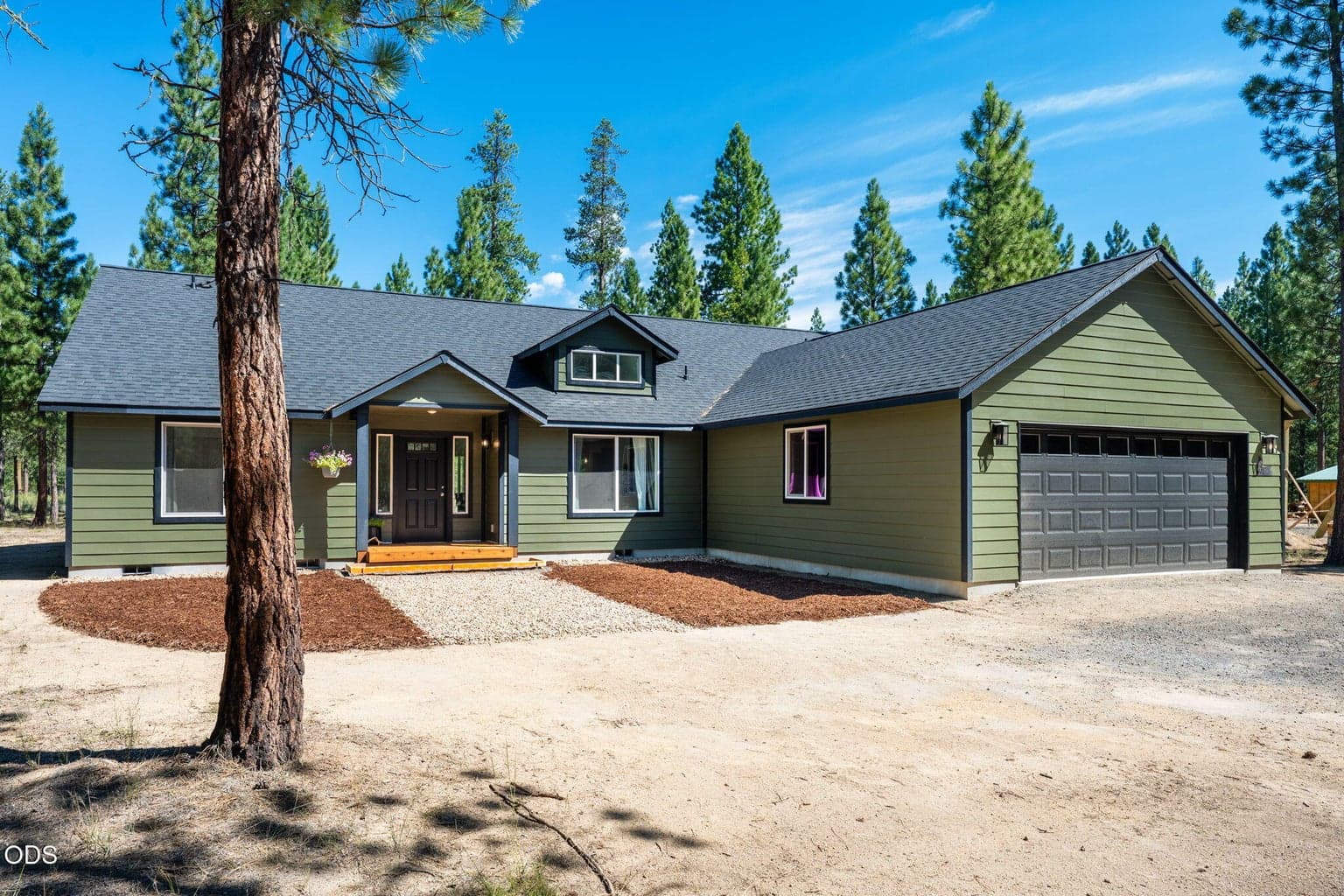 Photo of 52081 White Fir 3 of 47