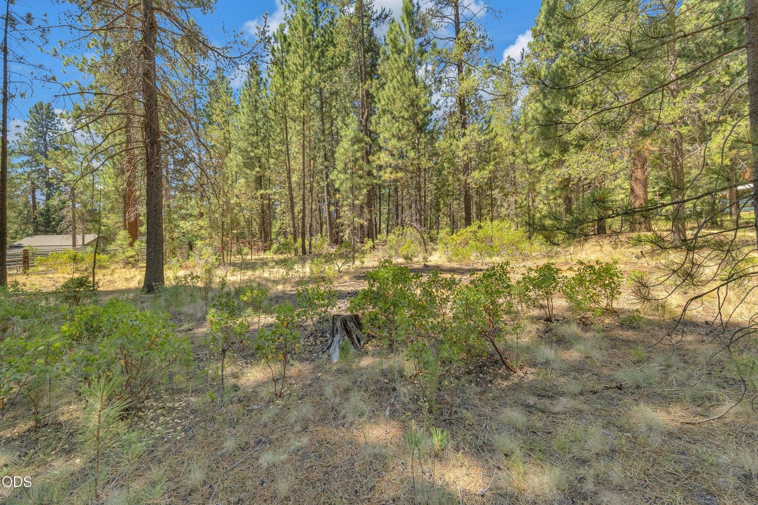 Photo of 56860 Gina Lane 4 of 5