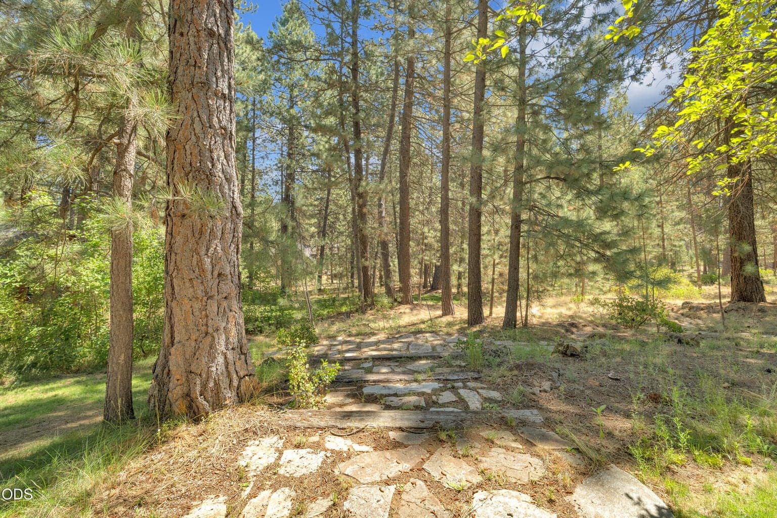 Photo of 56870 Gina Lane 20 of 22
