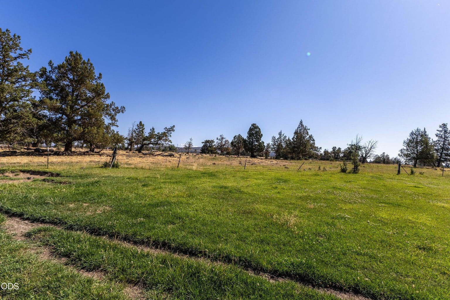 Photo of Parrish Lane 3 of 4