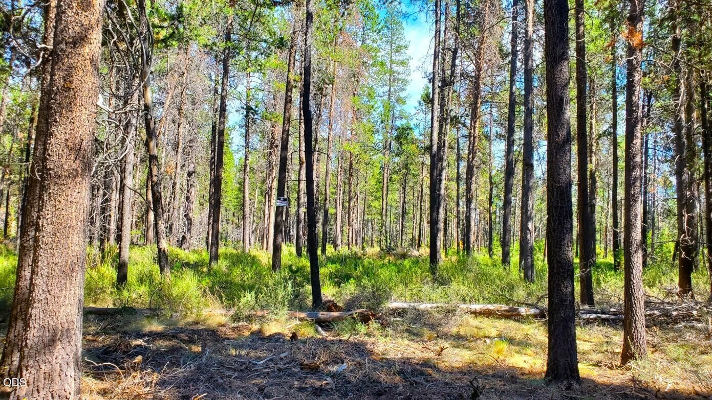 Photo of 55618 Snow Goose Road 5 of 22