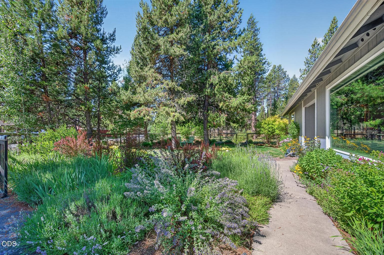 Master gardener designed gorgeous landscaping