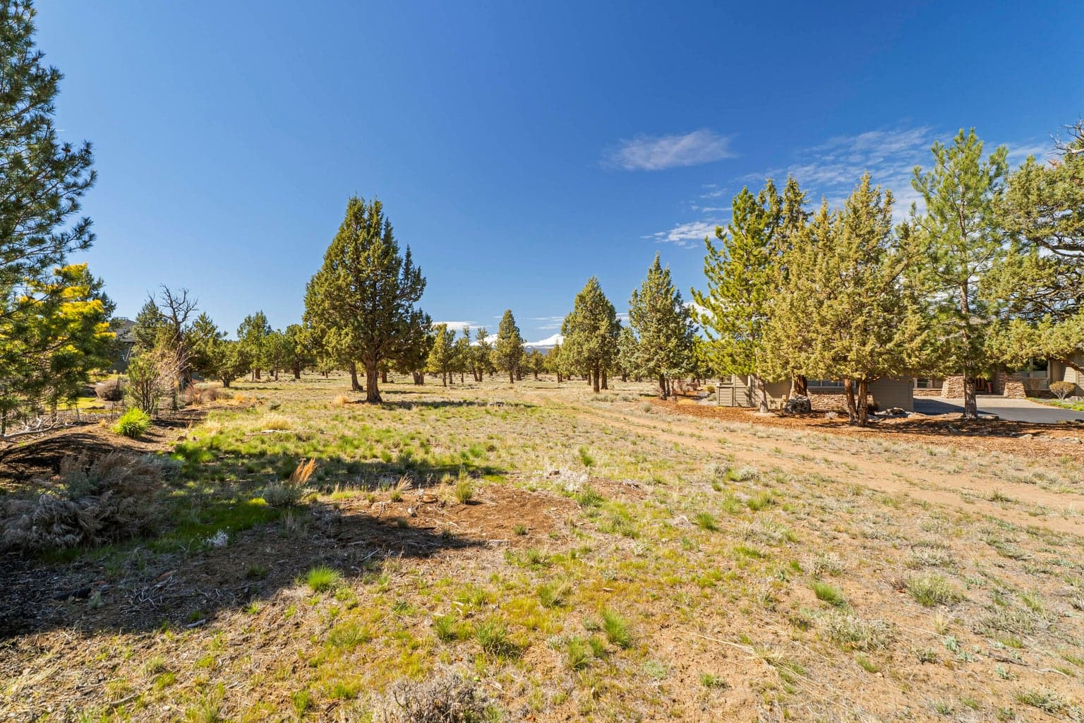 Photo of 11403 Jubel Court 68 of 113