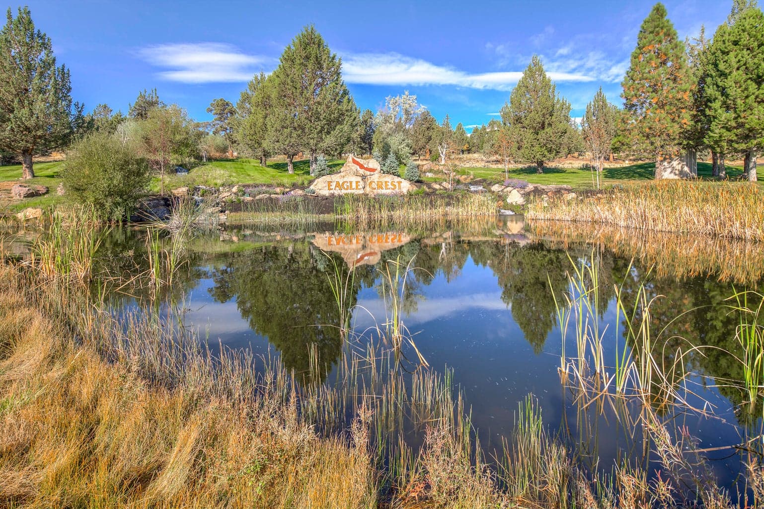 Photo of 11403 Jubel Court 78 of 113