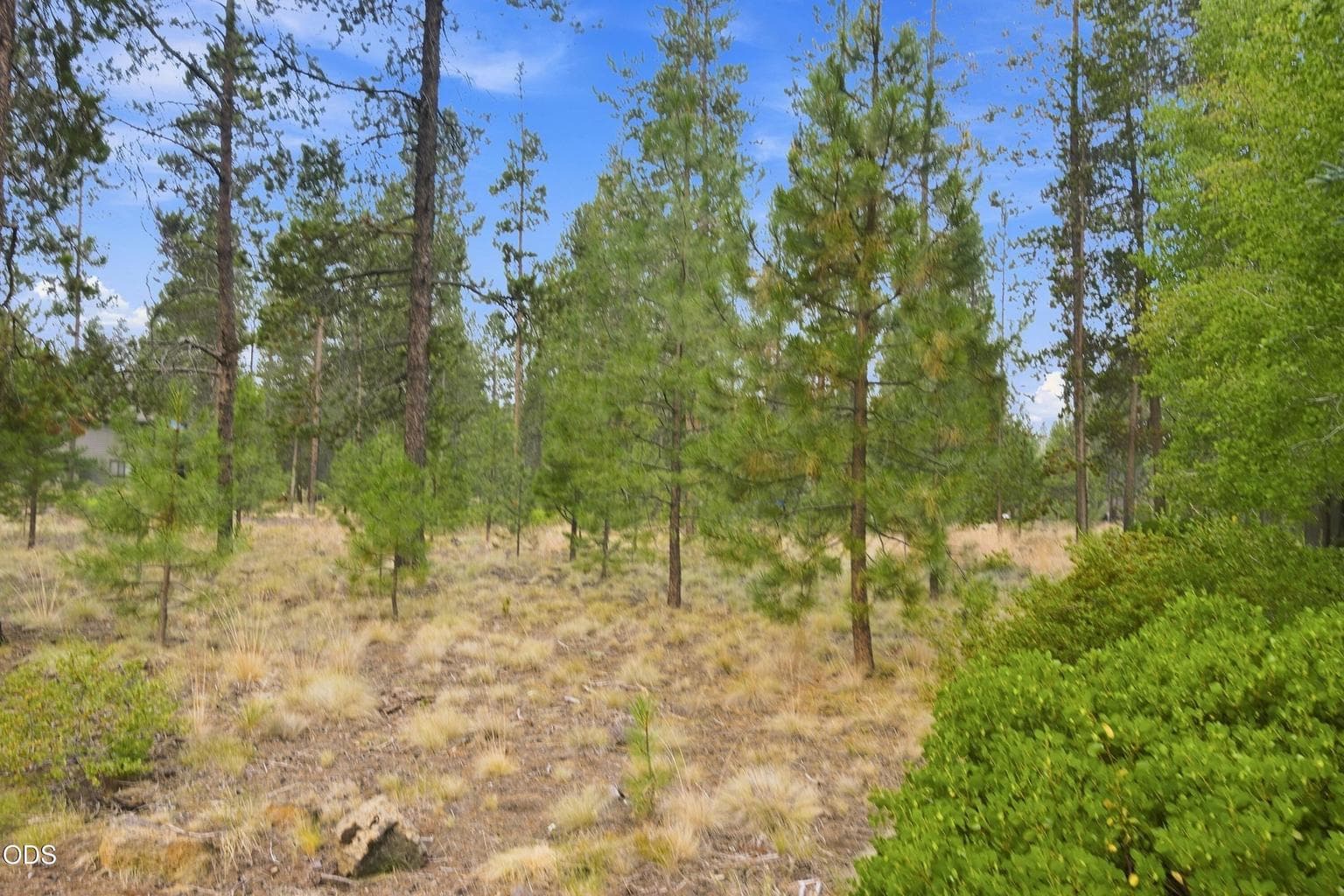 Photo of 18210 Ollalie Lane 43 of 61