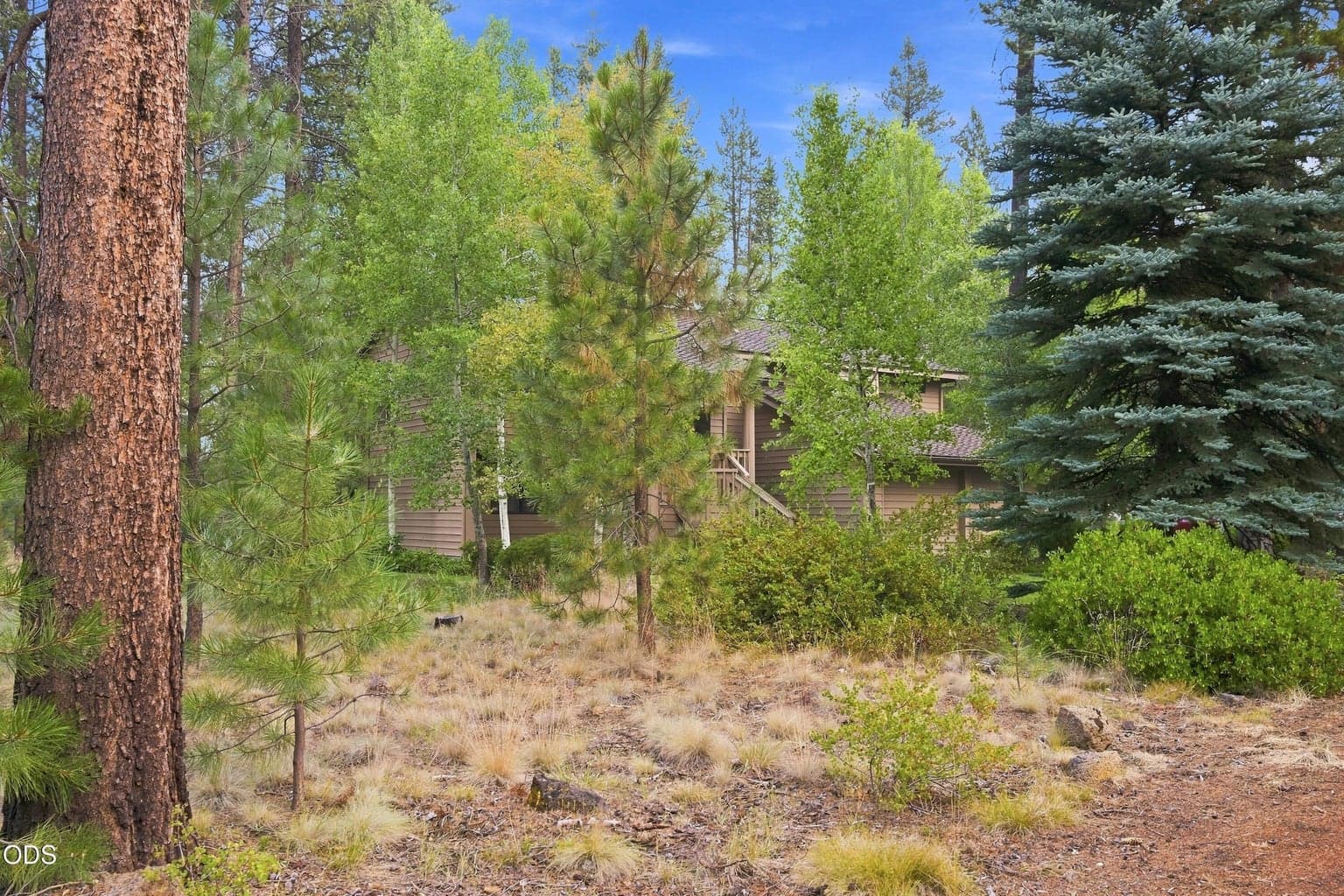Photo of 18210 Ollalie Lane 44 of 61