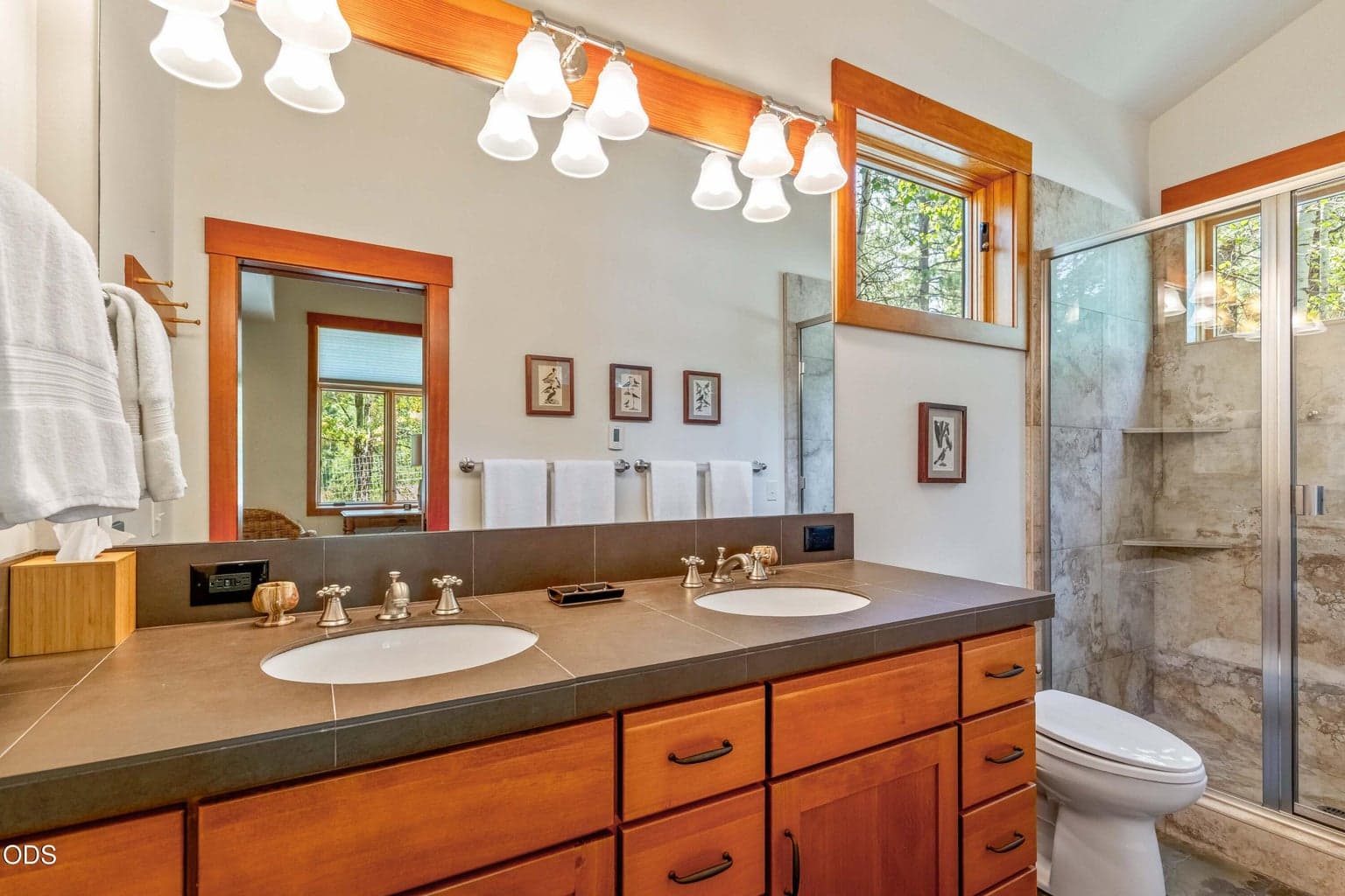 Photo of 70535 Salal 26 of 55