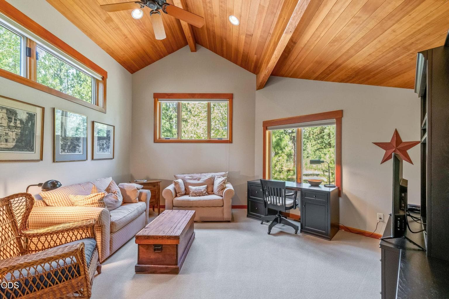 Photo of 70535 Salal 4 of 55