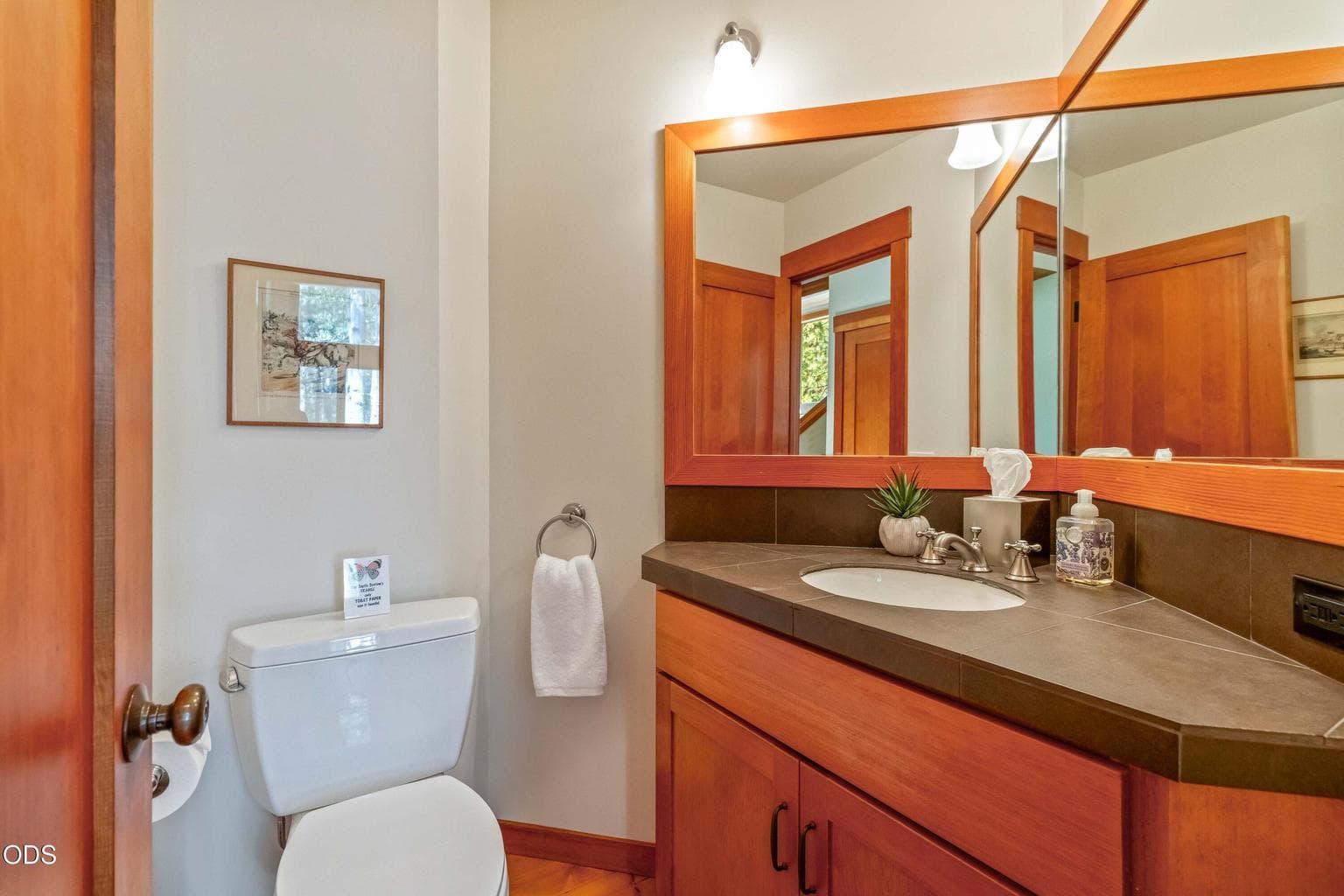 Photo of 70535 Salal 23 of 55