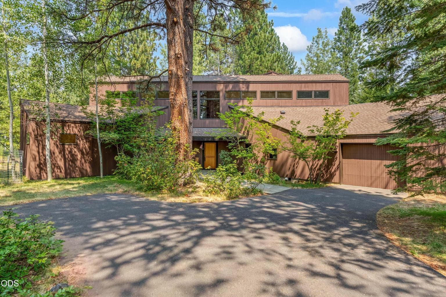 Photo of 70535 Salal 6 of 55