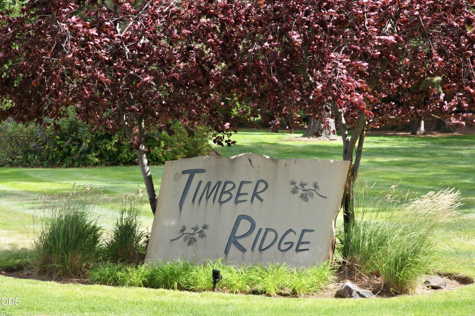 Desirable, friendly Timber Ridge neighborhood