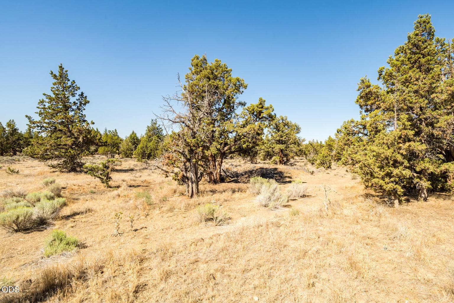 Photo of 63455 Chaparrel Drive 1 of 1