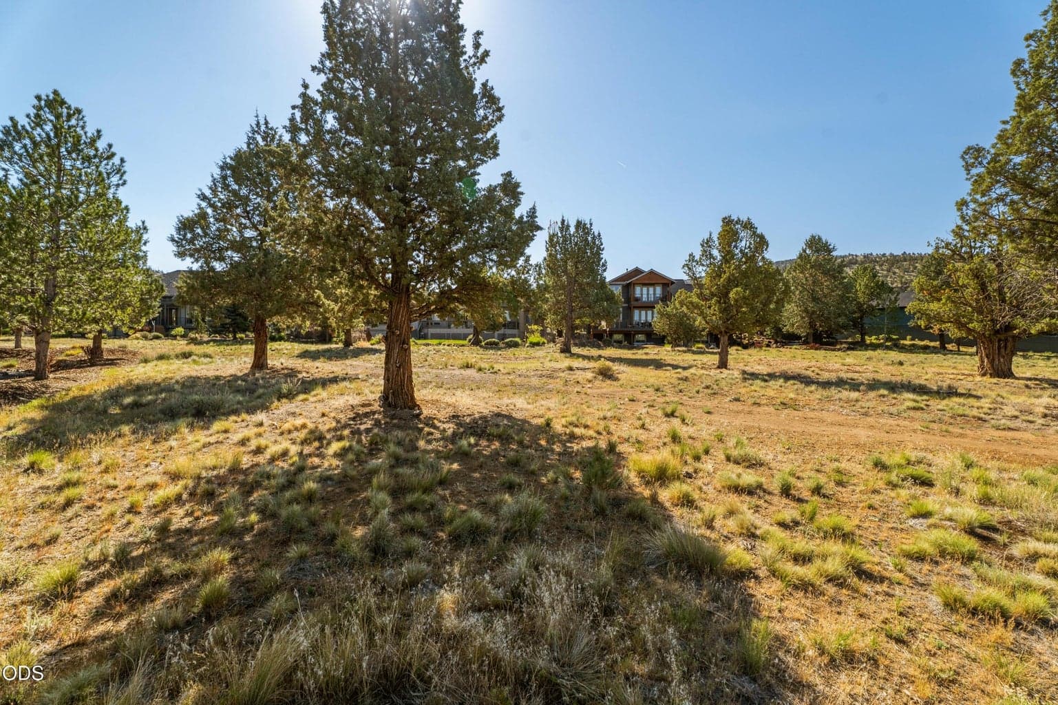 1261 Trail Creek