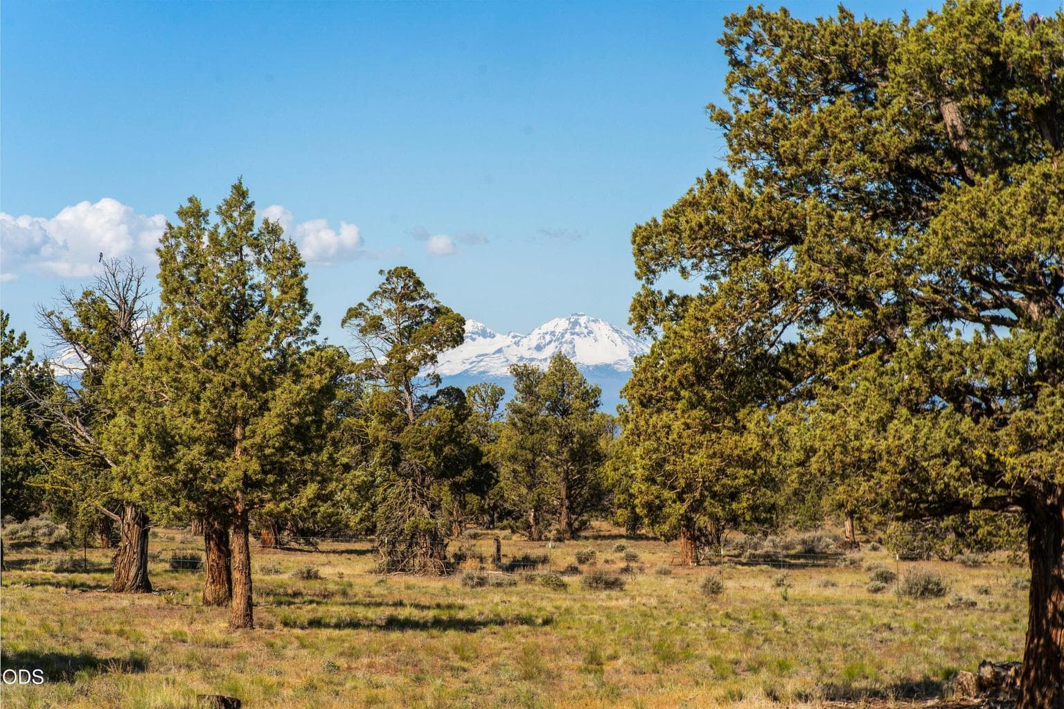 1261 Trail Creek