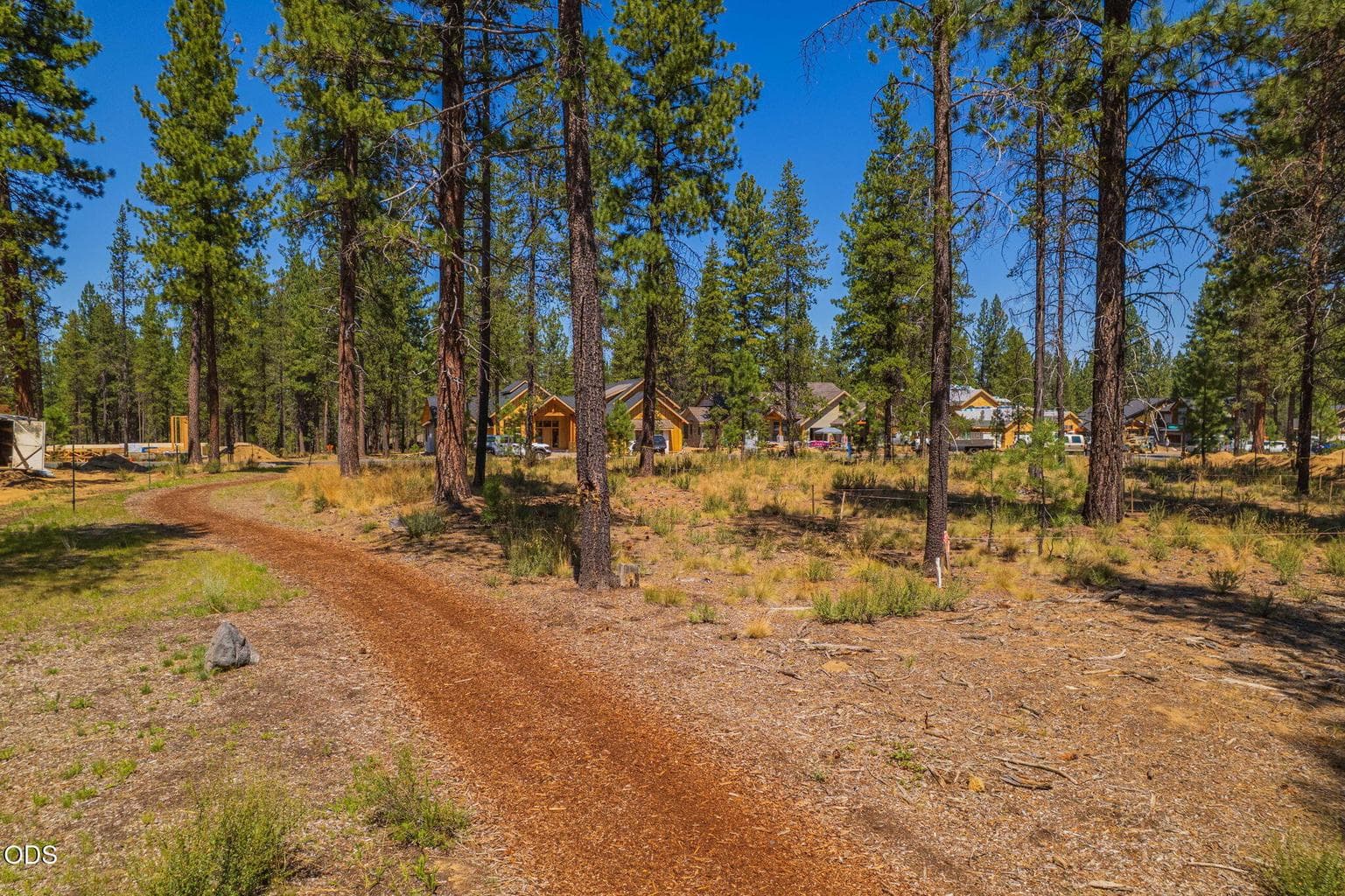 Prime forested homesite with miles of soft trails around