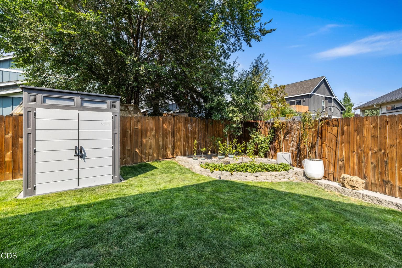 Established Fruit Trees