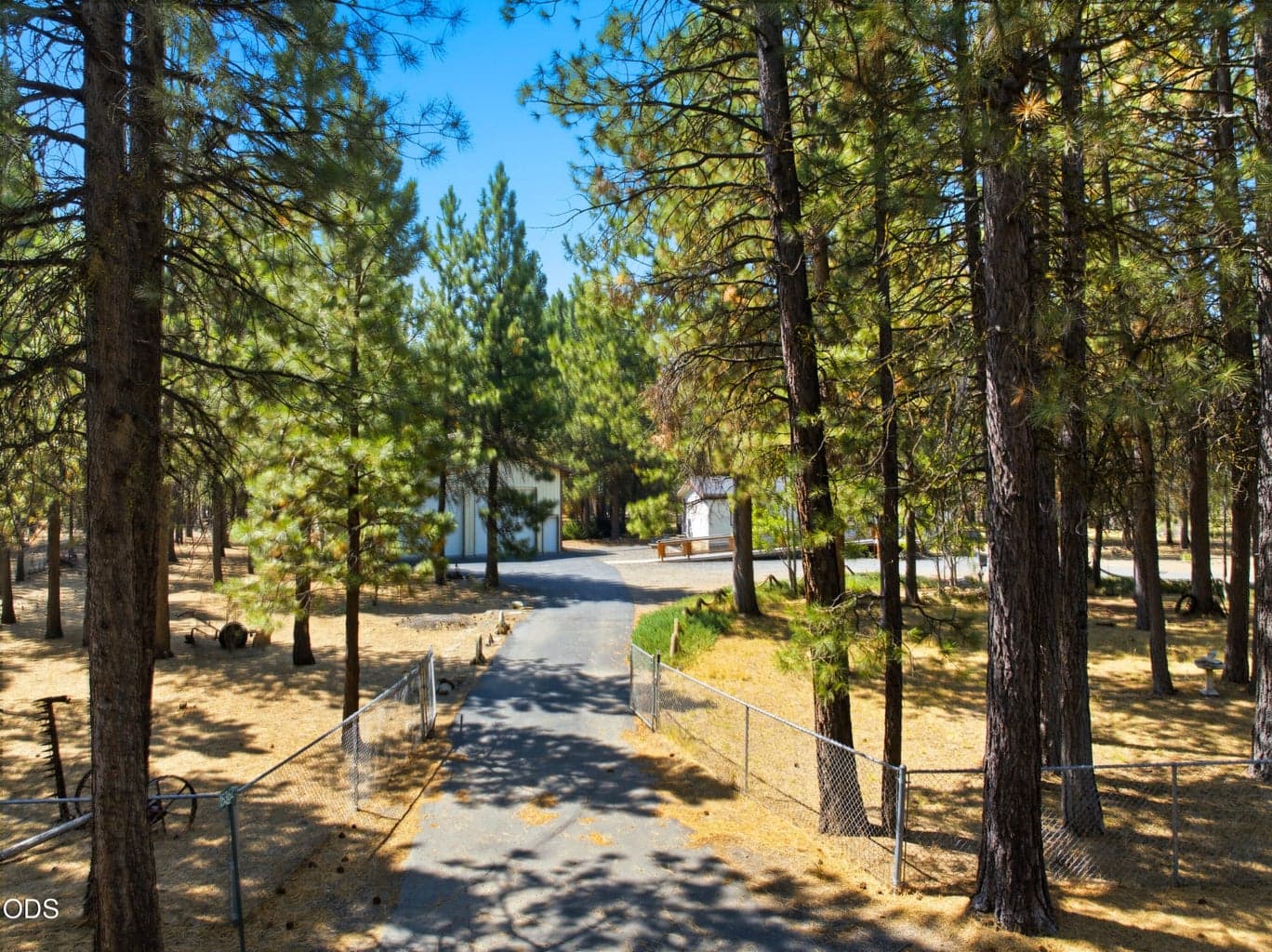 Photo of 15362 Ponderosa Loop 1 of 47